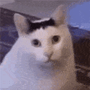 huh Discord emoji - free download