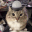 soundthecaralarm Discord emoji — free animated GIF download