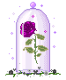 glassdomerose Discord emoji — free animated GIF download