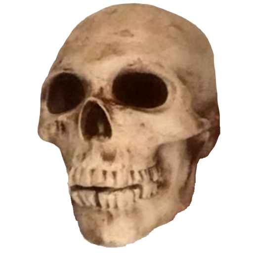 skull Discord emoji — free static PNG download