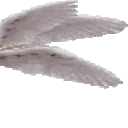 benotafraid3 Discord emoji - free download