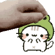 pet froggy kitty Discord emoji — free animated GIF download