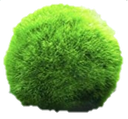 mossball Discord emoji - free download