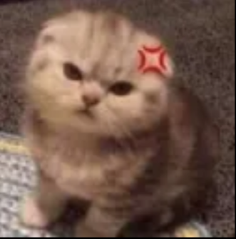 kitty mad Discord emoji — free static PNG download