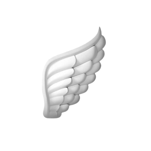 wing Discord emoji — free static PNG download