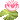 lillypad Discord emoji - free download