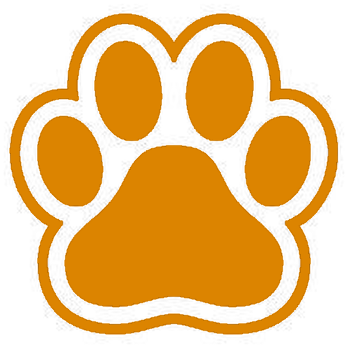 orange Discord emoji — free static PNG download