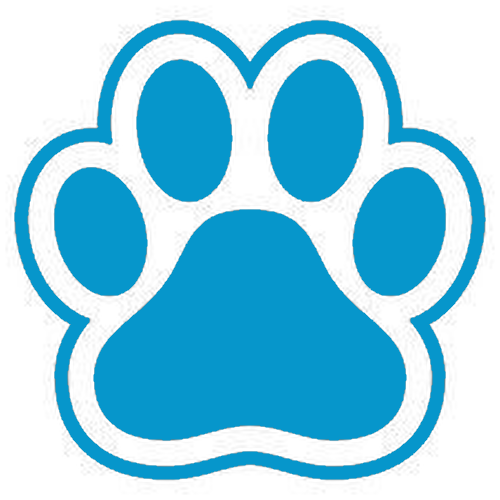 blue Discord emoji — free static PNG download
