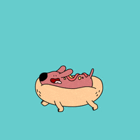 wiener dawg Discord emoji — free animated GIF download