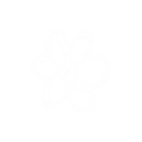 daisydoodle Discord emoji — free static PNG download