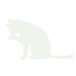 whitekitten Discord emoji — free animated GIF download