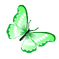butterflygreen Discord emoji — free animated GIF download