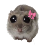hamster bow Discord emoji — free static PNG download