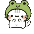 jam froggy kitty Discord emoji — free animated GIF download
