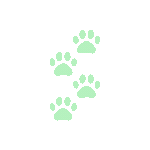 lightgreenpaws Discord emoji - free download