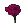 flowerdarkpink Discord emoji — free animated GIF download