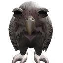 cute wet owl Discord emoji — free static PNG download