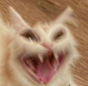 scrary cat laugh Discord emoji — free static PNG download