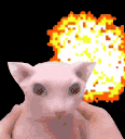 bangus Discord emoji — free animated GIF download
