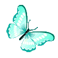 butterflyaqua Discord emoji — free animated GIF download