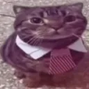 catsitting Discord emoji — free static PNG download