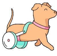 wheelchairpuppy Discord emoji — free animated GIF download