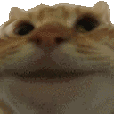yesl Discord emoji - free download
