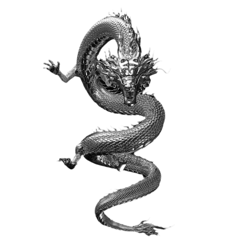 dragon Discord emoji — free static PNG download