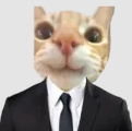 kittycat Discord emoji — free static PNG download