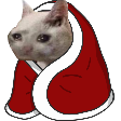 kitty blanky Discord emoji — free static PNG download