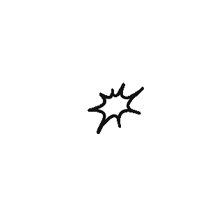 poof Discord emoji — free animated GIF download