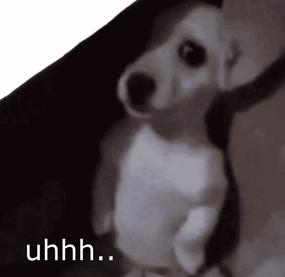 shy dog Discord emoji — free static PNG download