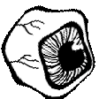weird eyeball Discord emoji — free animated GIF download