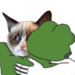 pepehug Discord emoji — free static PNG download