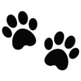black Discord emoji — free static PNG download