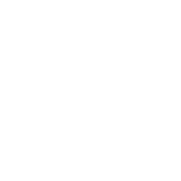 securityshield Discord emoji - free download