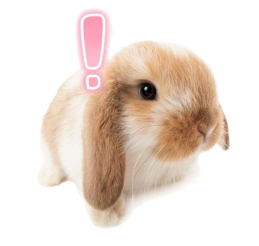 bun Discord emoji — free static PNG download