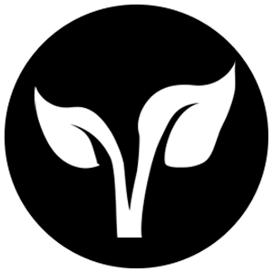 newbie Discord emoji — free static PNG download