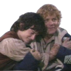 frodosam hug Discord emoji — free static PNG download