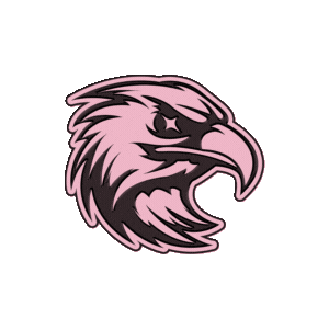 arcanepink Discord emoji - free download