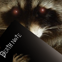raccoon deathnote Discord emoji — free static PNG download