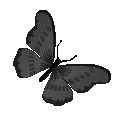 butterflyblack Discord emoji — free animated GIF download