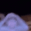 oh no monkey Discord emoji — free animated GIF download