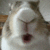 bunny chew Discord emoji — free animated GIF download