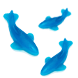 gummysharks Discord emoji — free static PNG download