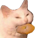 catcookie Discord emoji — free static PNG download