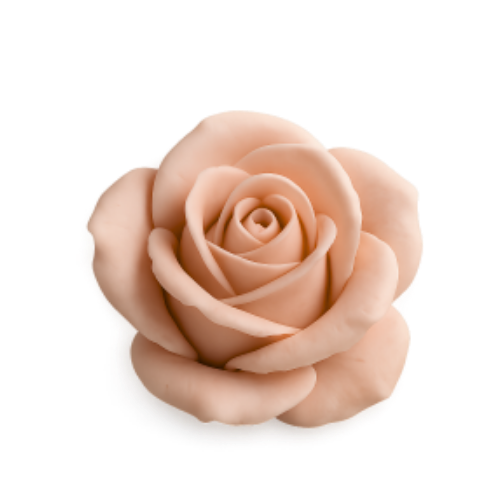 terracottarose Discord emoji — free static PNG download