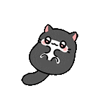 catbelly Discord emoji — free animated GIF download