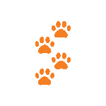 orangepaws Discord emoji - free download