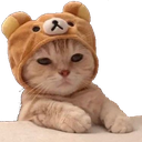 kitten with bear hat Discord emoji — free static PNG download